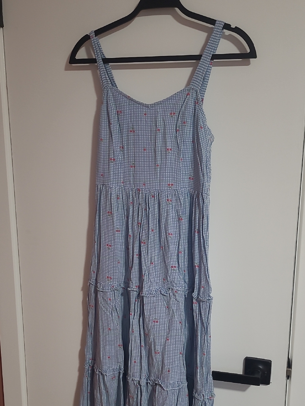 Japna Blue Gingham Dress with Red cherries